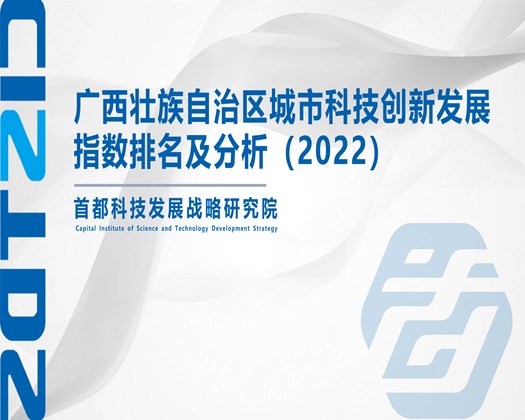 欧洲动漫同人扣逼自慰【成果发布】广西壮族自治区城市科技创新发展指数排名及分析（2022）